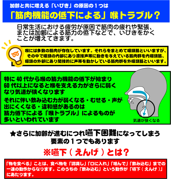 ibiki03