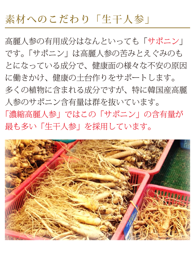 kourai02