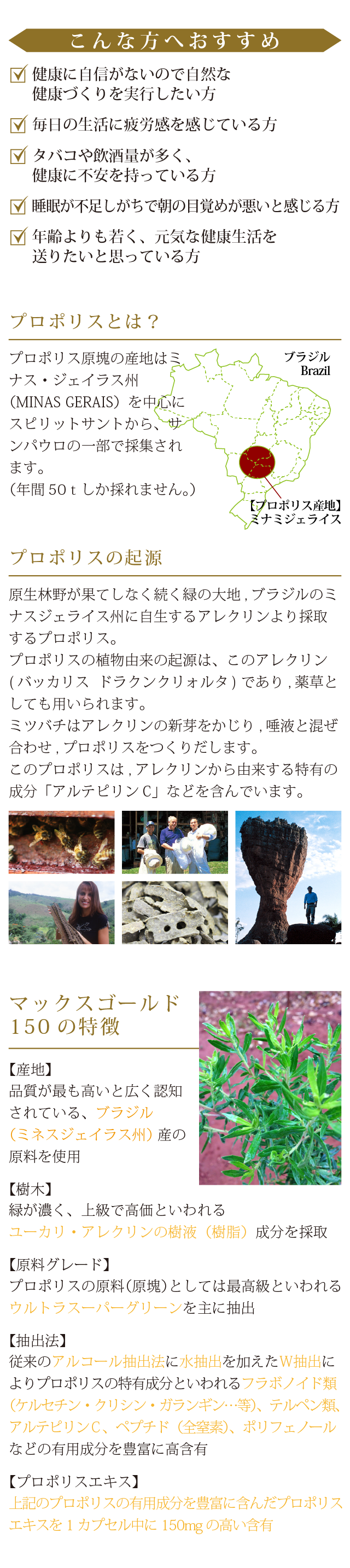 propolis_sp2